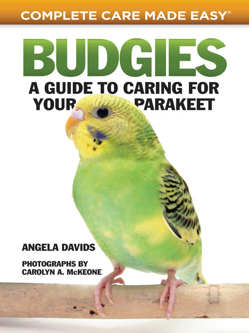 Title details for Budgies by Angela Davids - Available